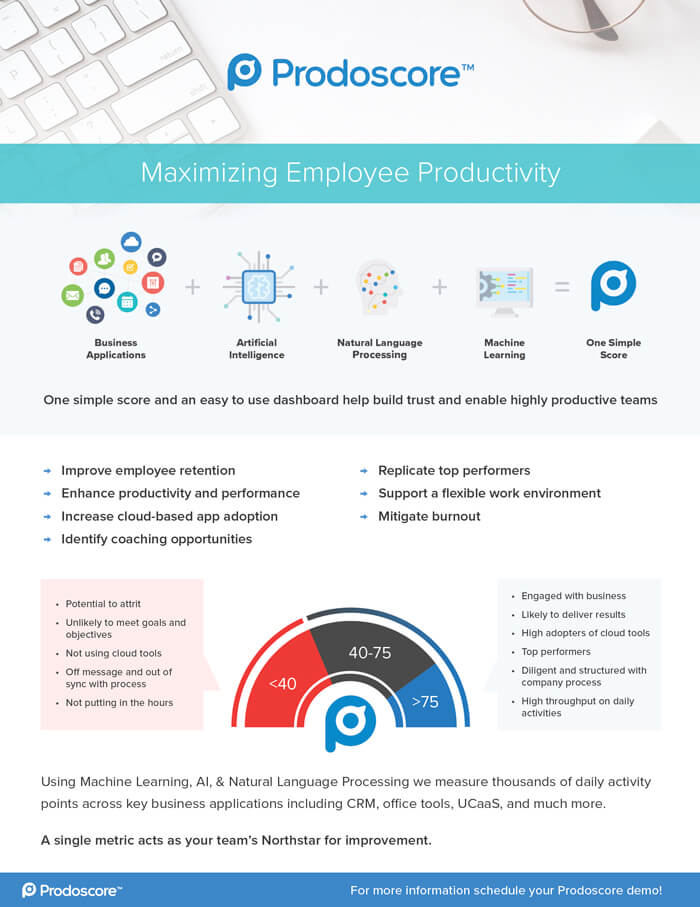 Maximizing Employee Productivity